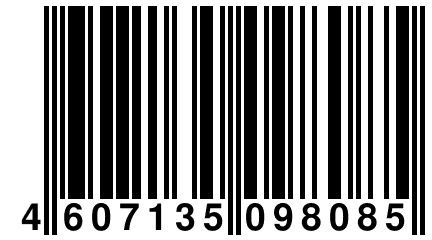 4 607135 098085