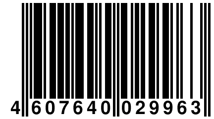 4 607640 029963