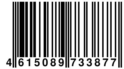 4 615089 733877