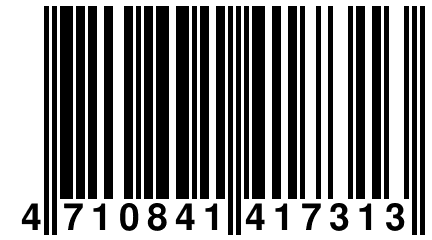 4 710841 417313