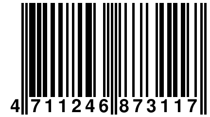 4 711246 873117