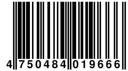 4 750484 019666