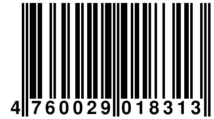 4 760029 018313