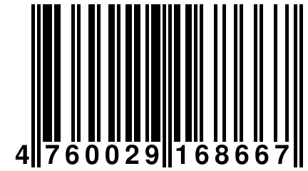 4 760029 168667