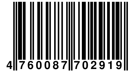 4 760087 702919