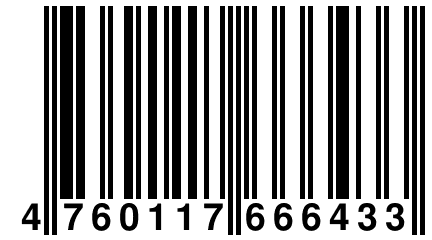 4 760117 666433