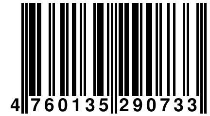 4 760135 290733