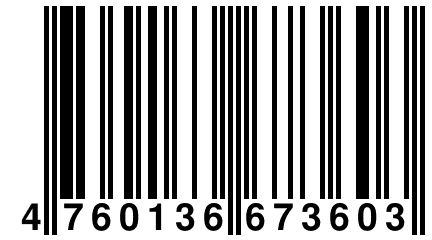 4 760136 673603