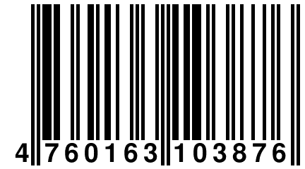 4 760163 103876