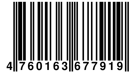 4 760163 677919