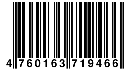 4 760163 719466