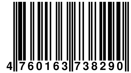 4 760163 738290
