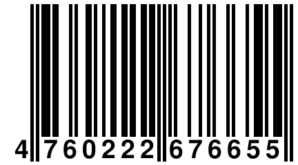 4 760222 676655