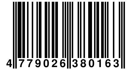 4 779026 380163