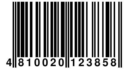 4 810020 123858