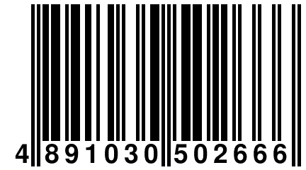 4 891030 502666