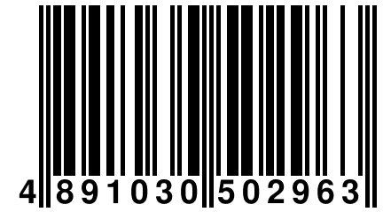 4 891030 502963