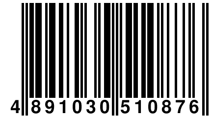 4 891030 510876