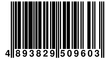 4 893829 509603