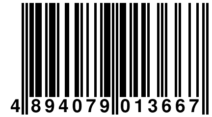 4 894079 013667