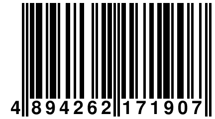 4 894262 171907