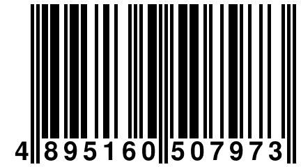4 895160 507973