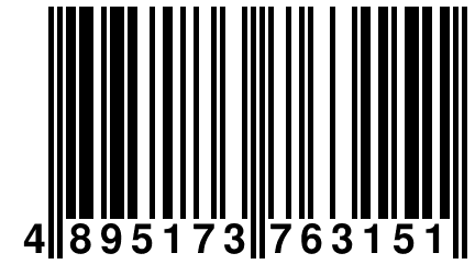 4 895173 763151