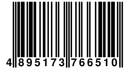 4 895173 766510