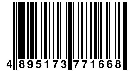 4 895173 771668