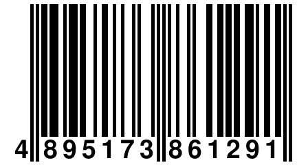 4 895173 861291