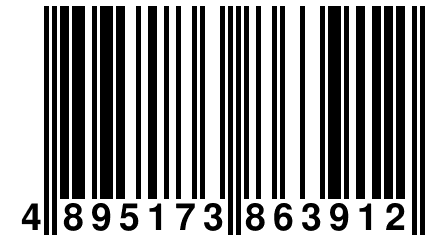 4 895173 863912