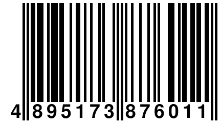 4 895173 876011
