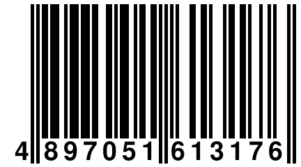 4 897051 613176