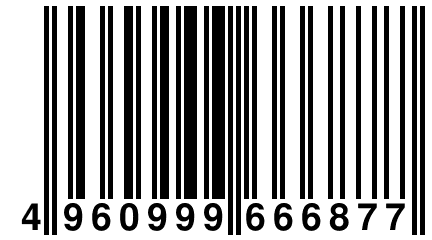 4 960999 666877