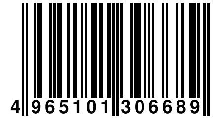 4 965101 306689