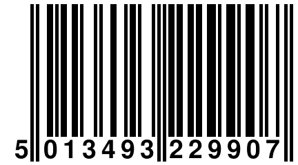 5 013493 229907
