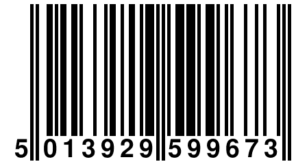 5 013929 599673