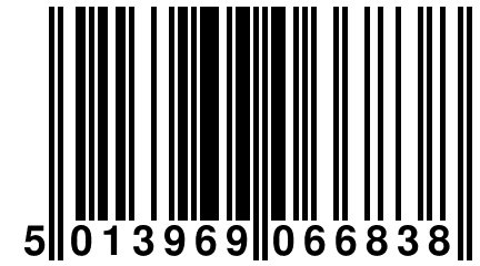 5 013969 066838