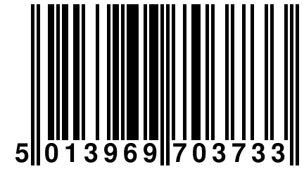 5 013969 703733