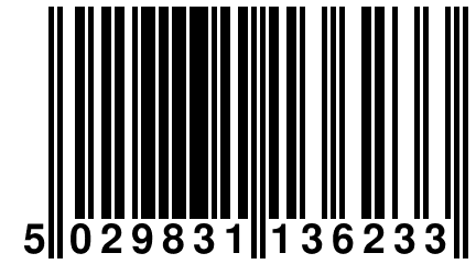 5 029831 136233