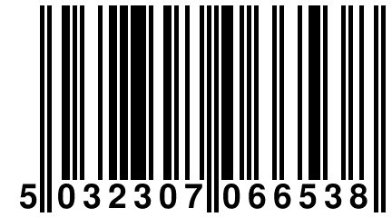 5 032307 066538