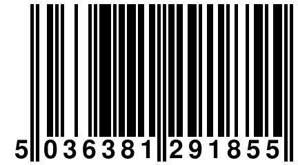 5 036381 291855