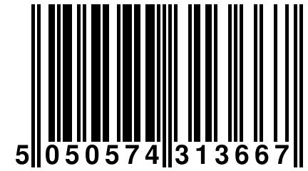 5 050574 313667