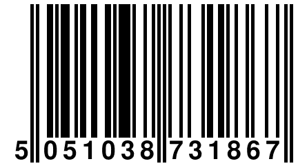 5 051038 731867