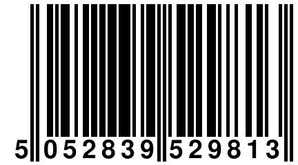 5 052839 529813