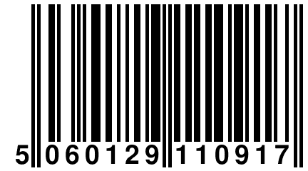 5 060129 110917