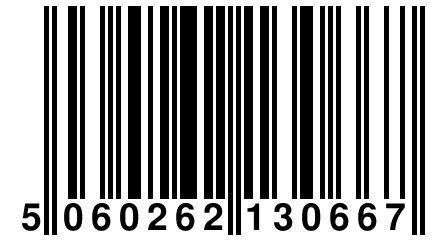 5 060262 130667