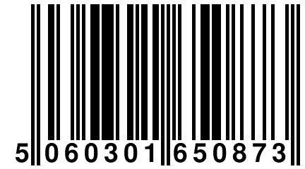 5 060301 650873