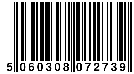 5 060308 072739