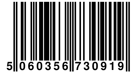 5 060356 730919